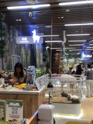 -小象动悟公园(龙湖亦庄天街店)