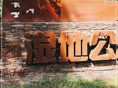 -东郊湿地公园