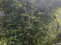-成都杜甫草堂博物馆