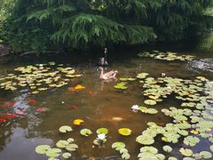 -白马涧龙池景区