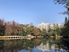 -荔枝公园(福田区)