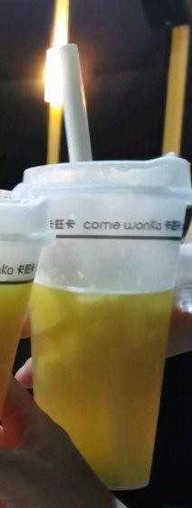 凤梨毛峰-卡旺卡(合肥步行街韵淮阁店)