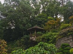 -南山植物园