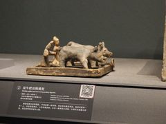 -广西壮族自治区博物馆