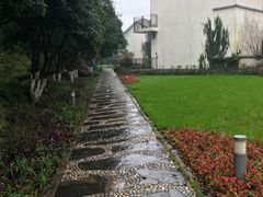 -上海市保健医疗中心(华东疗养院)