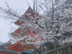 -有栖山 清光院 清水寺