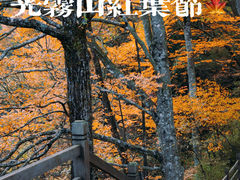 -光雾山旅游景区