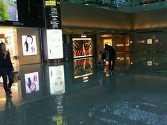 -升恒昌免税商店(桃园国际机场店)