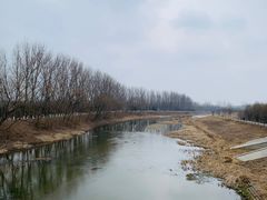 -东郊湿地公园