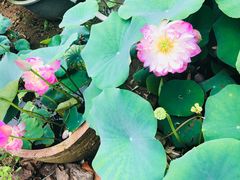 -龙环葡韵住宅式博物馆