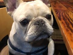 -老味道(田子坊店)