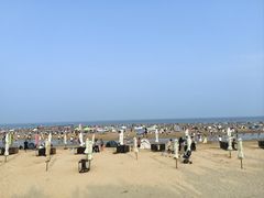 -日照海滨国家森林公园