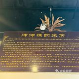 兴义探店|纯手工制作的【媛媛冲冲糕】