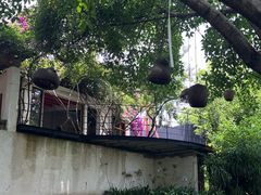 -三圣花乡旅游区