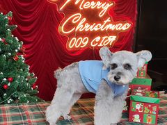 -佛山京华广场MALL