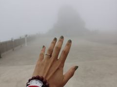 -白草畔自然风景区