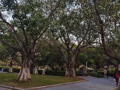-厦门大学(思明校区)