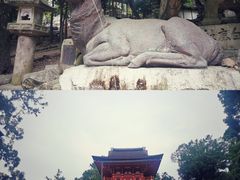 -奈良公园