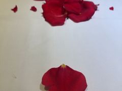 -王品牛排(北京西单店)