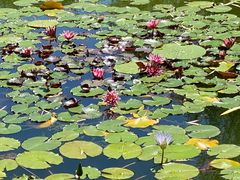 -国家植物园南园