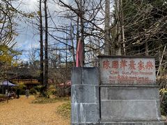-腾冲国萍农家乐