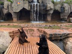 -海南热带野生动植物园