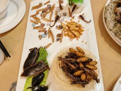 -了能菜·传统特色粤菜·虫宴