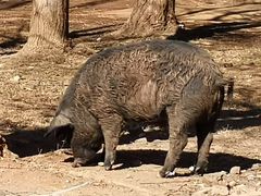 -丽江泸沽湖景区