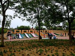 -大兴滨河森林公园