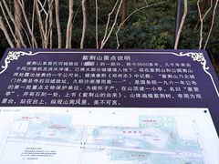 -紫荆山公园