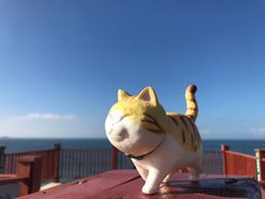 -枸杞岛
