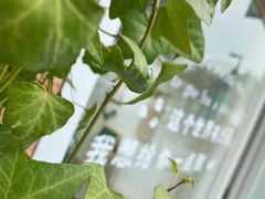 -今日Cake蛋糕茶歇·甜品台定制