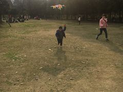 -秀丽东方