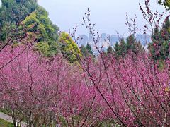 -富乐山