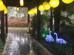 -杭州第一世界大酒店·云曼温泉