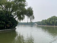 -洛阳市隋唐城遗址植物园