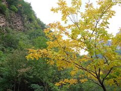 -赤山风景区