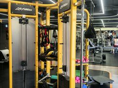 -健身专家Wellness Experts