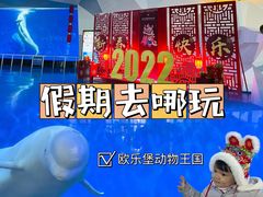 -泉城欧乐堡海洋极地世界