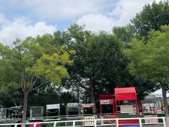 -海河游船-永乐码头(大悲院)