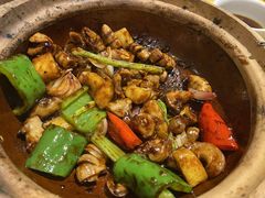 -天宝食坊·啫啫煲大排档(西华路店)