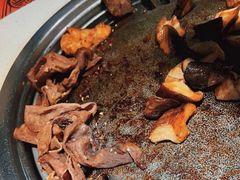 -猫爪爪原切自助烤肉(观音桥阳光世纪店)