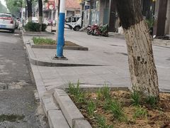 -环宇草鸡店·特色炒鸡