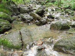 -香炉山国家森林公园