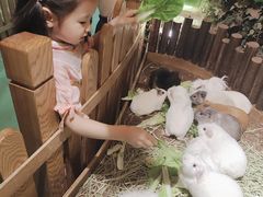 -藦茜花园宠物主题亲子互动体验馆(国顺东路店)
