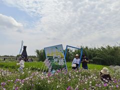-宁波杭州湾国家湿地公园