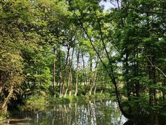 -桤木河湿地公园