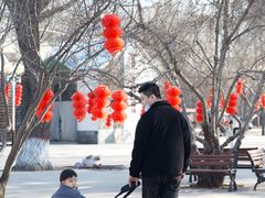 -石家庄市植物园