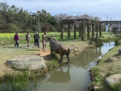 -周立波故居