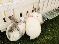 -舟山希尔顿酒店